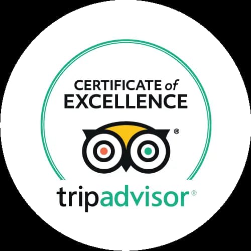 Tripadvisor Excellence