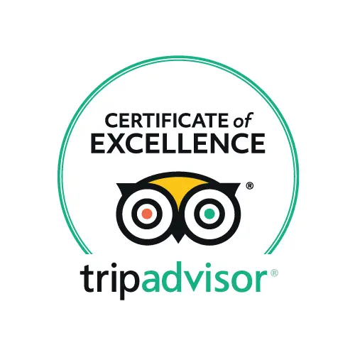 Tripadvisor Excellence